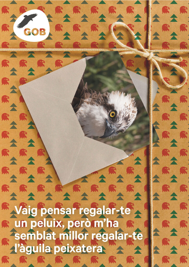 gob mail