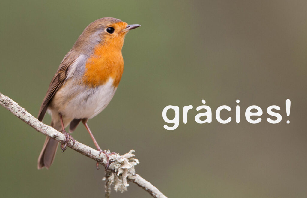 ropit gracias