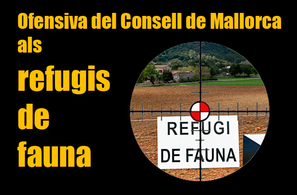 Sa Ràpita 29A