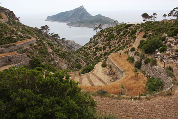 Vista de la Trapa sobre sa Dragonera