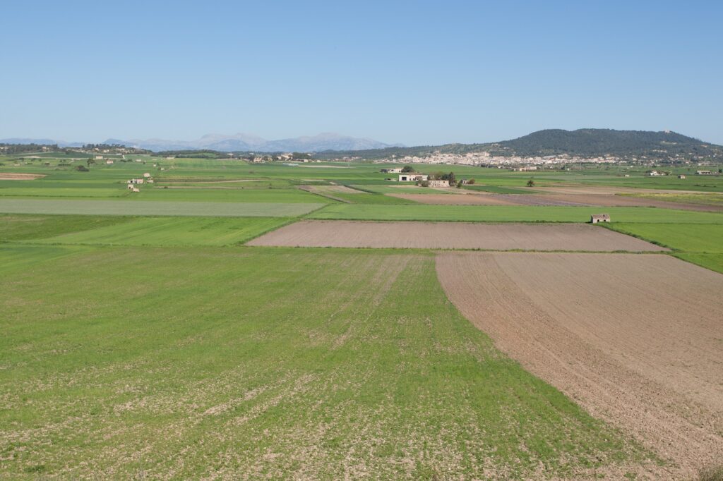 Pla de Vilafranca