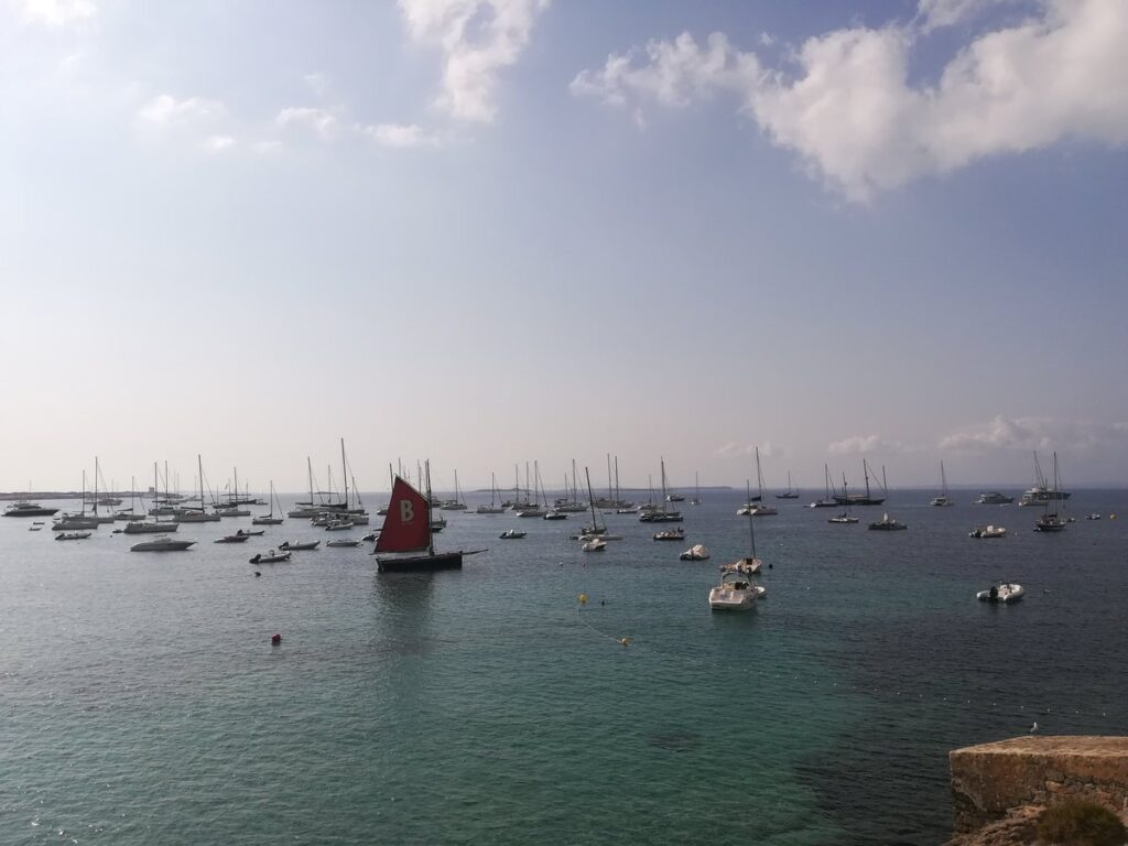 Platja de Ses Salines, Eivissa